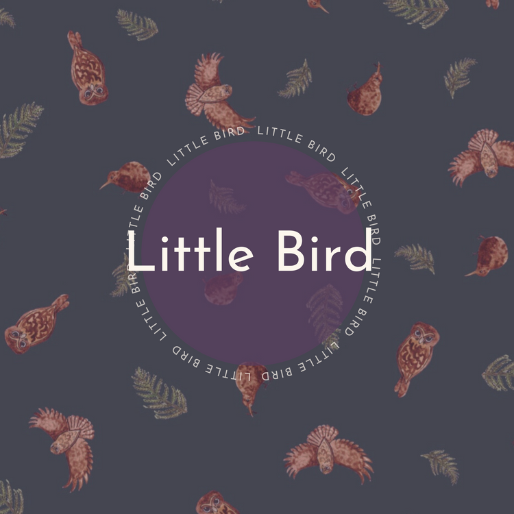 Little Bird