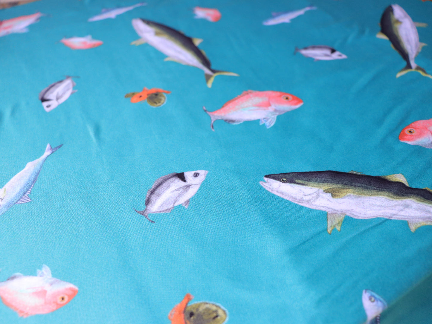 Fishing NZ - Bamboo Fitted Cot Sheet - Sea Green