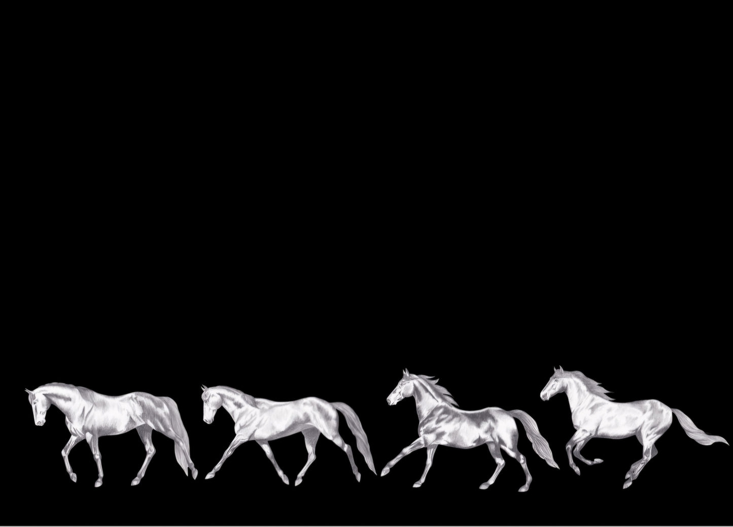 Vintage Horses Paces NZ Tea Towel - Black