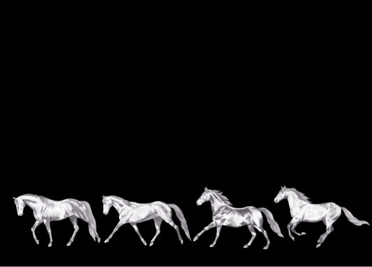Vintage Horses Paces NZ Tea Towel - Black