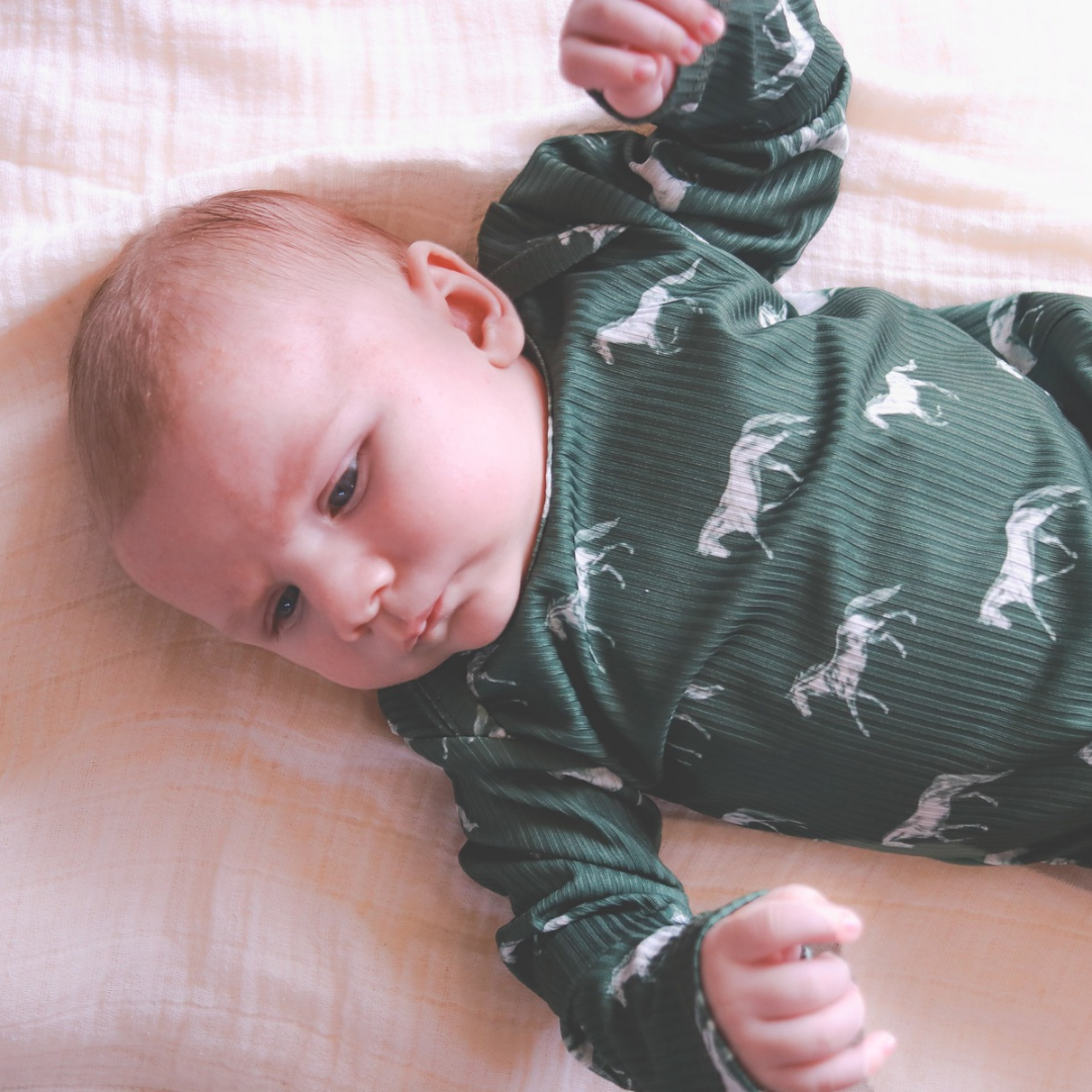 Little Horse & Hound- Vintage Horses -Long Sleeve Bodysuit - Olive