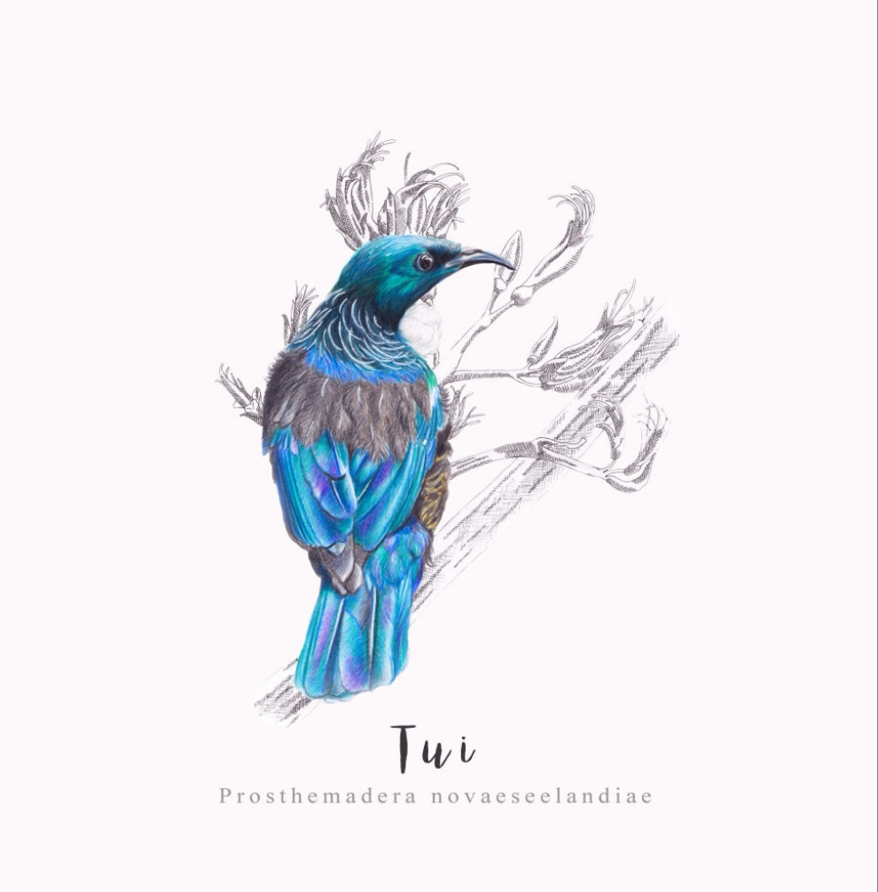 Tui Fine Art NZ Tea Towel - White