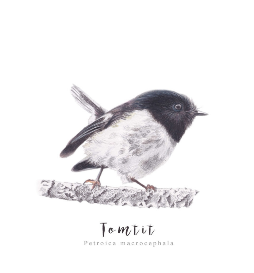 Tomtit Fine Art NZ Tea Towel - White