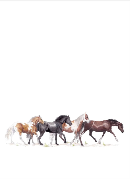 Wild Horses Fine Art NZ Tea Towel -White