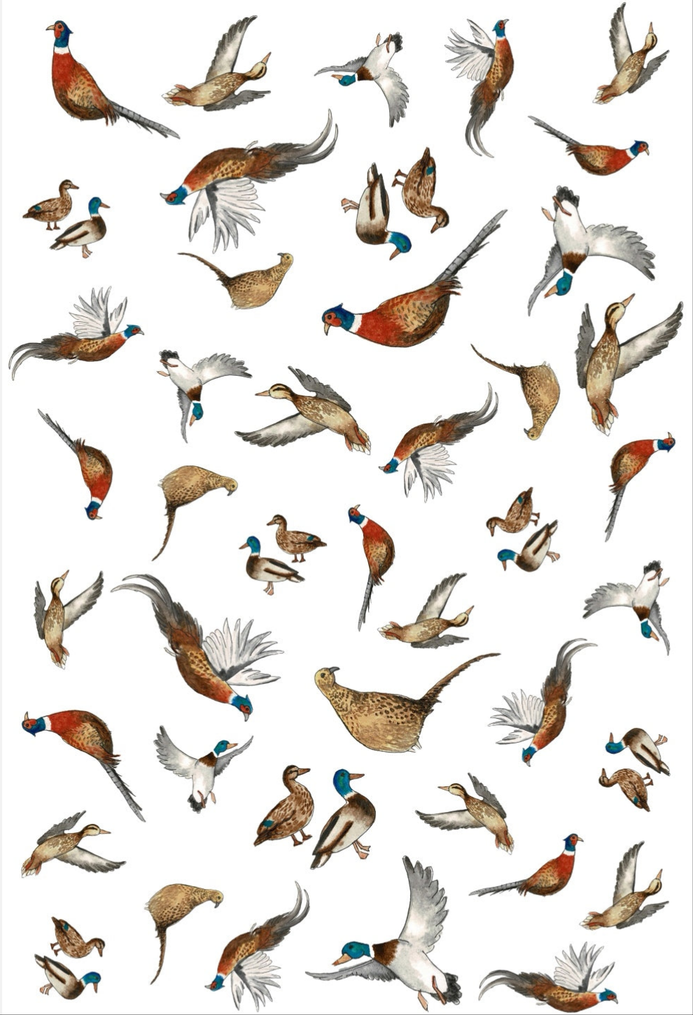 Pheasant & Duck Multi Print NZ Tea Towel - White