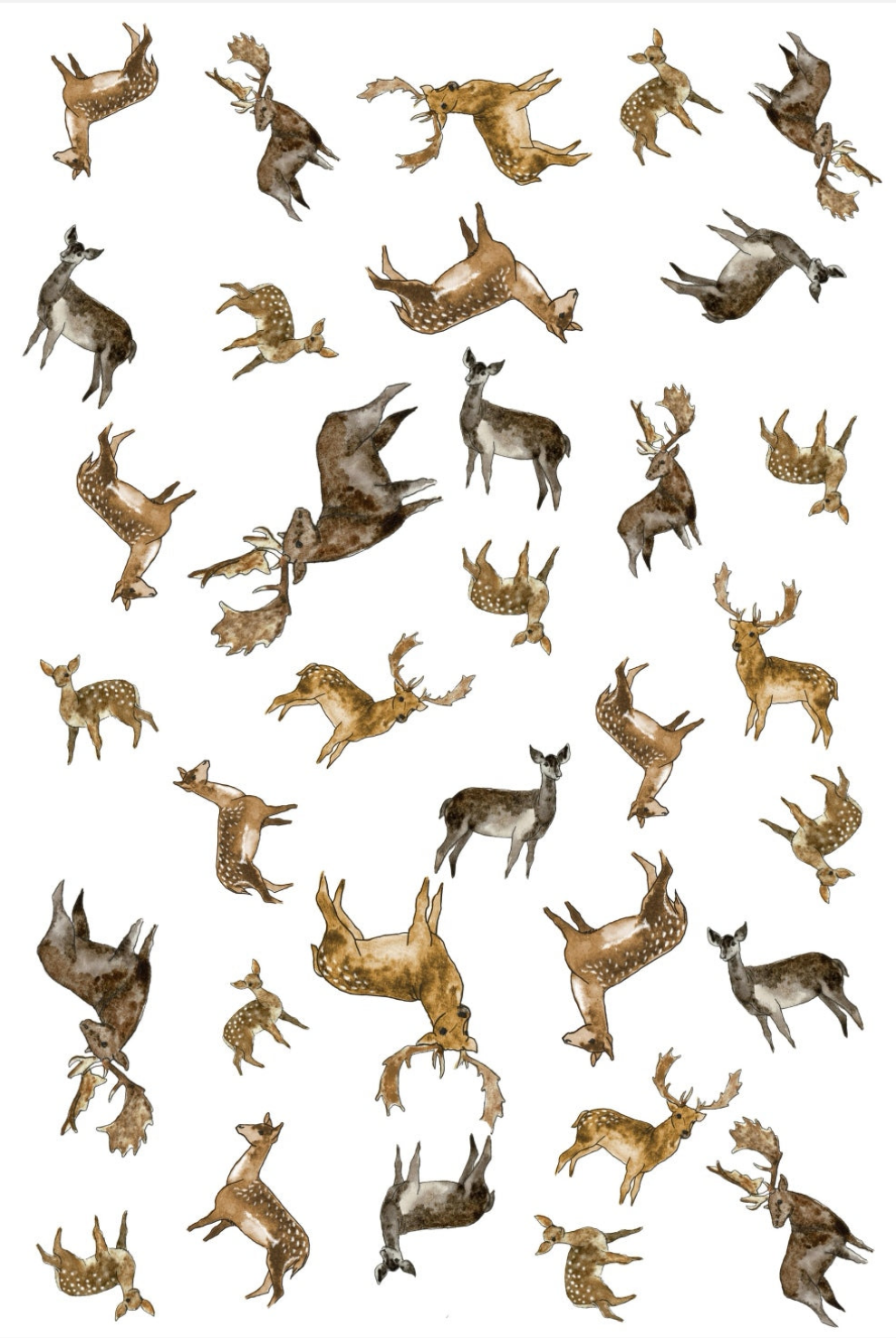 Fallow Multi Print NZ Tea Towel - White