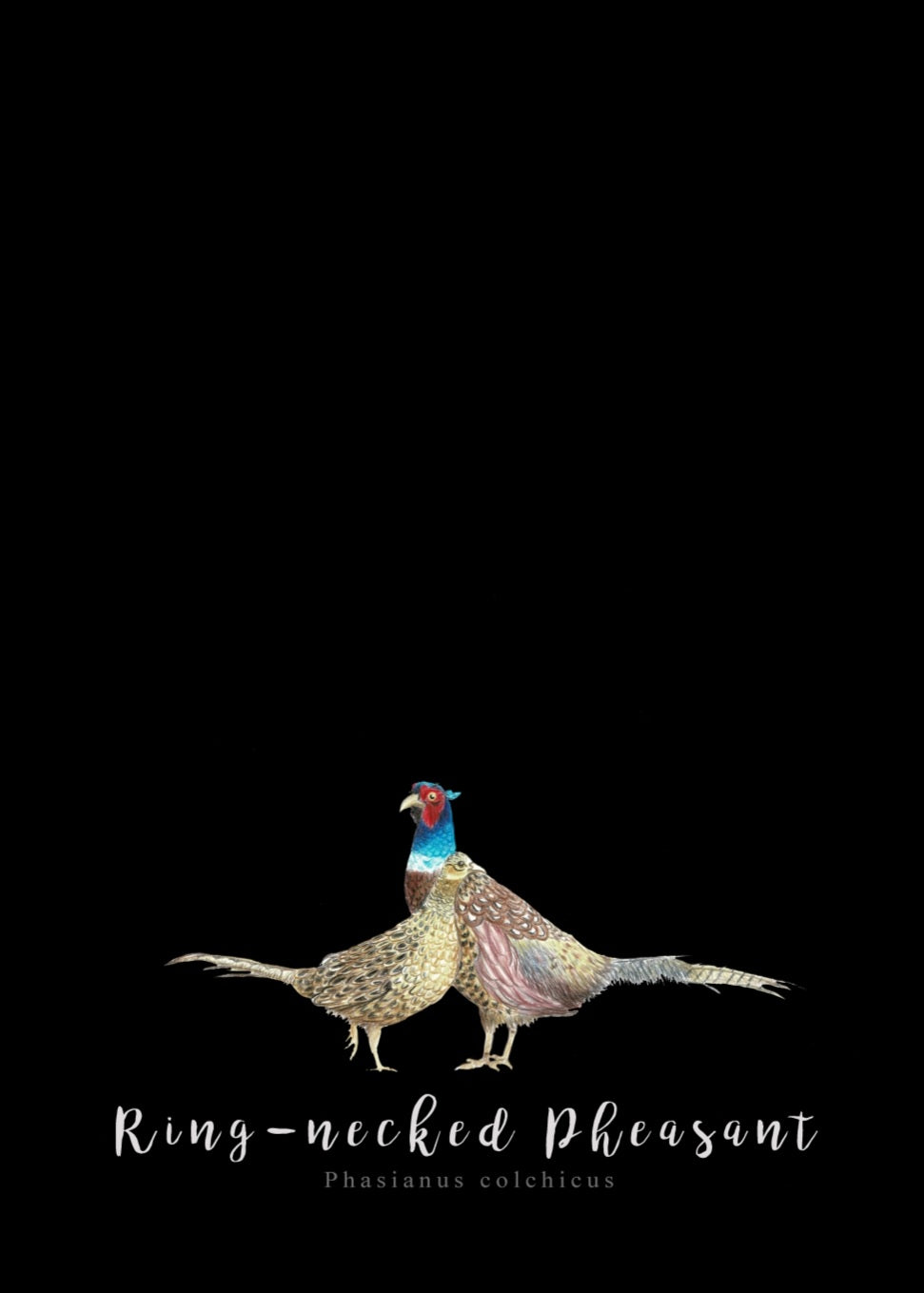 Pheasant Fine Art NZ Tea Towel - Black