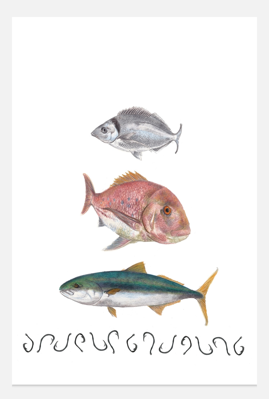 Trio of Fish NZ Fish Tea Towel - Hand Drawn Gift Ideas – Little Fallow