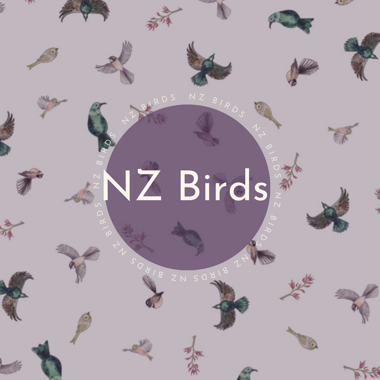 NZ Birds