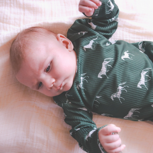 Little Horse & Hound- Vintage Horses -Long Sleeve Bodysuit - Olive