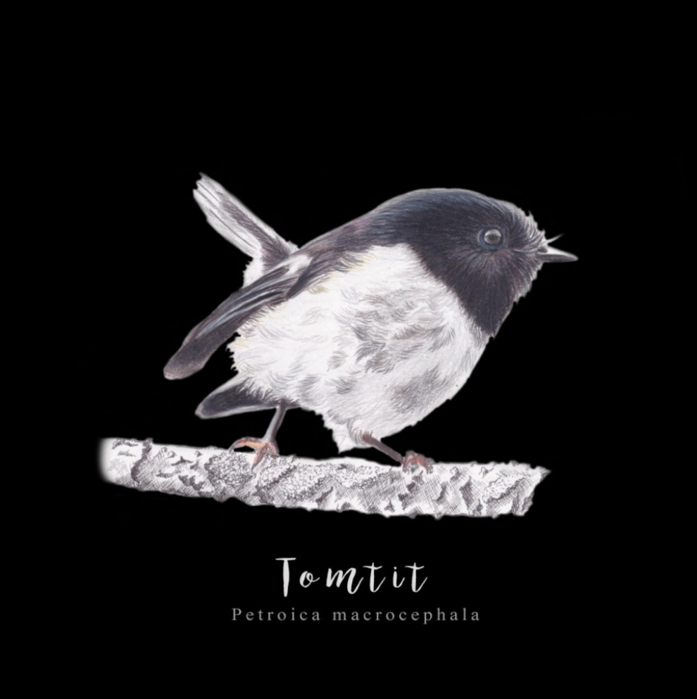 Tomtit Fine Art NZ Tea Towel - Black