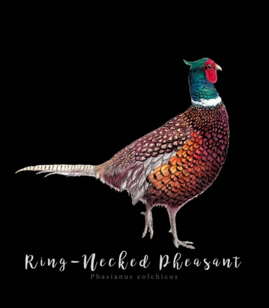 Regal Pheasant Fine Art NZ Tea Towel - Black