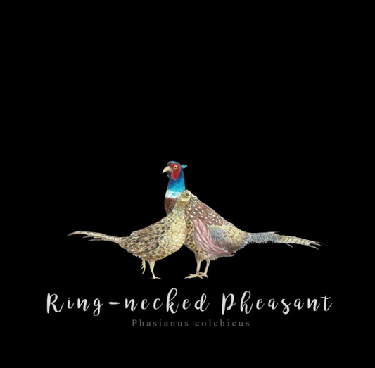 Pheasant Fine Art NZ Tea Towel - Black