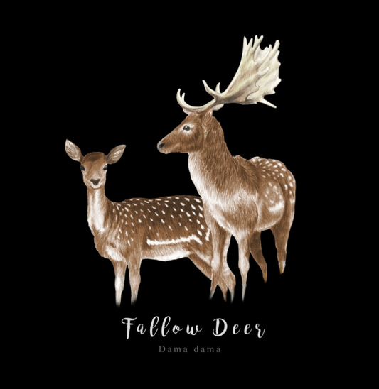 Fallow Deer Fine Art NZ Tea Towel - Black