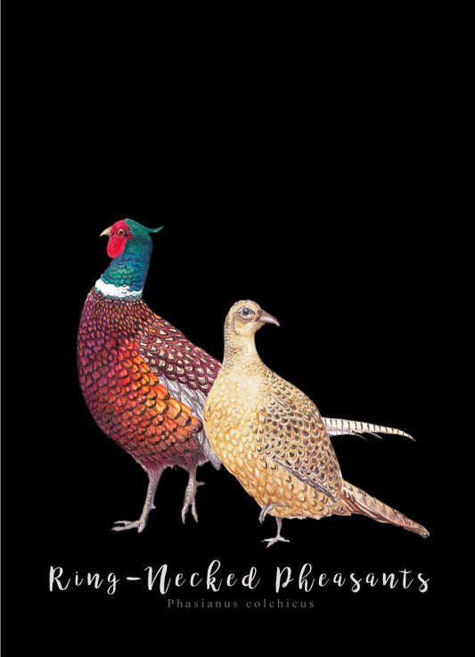 Pair of Ring-Necked Pheasants NZ Tea Towel - Black