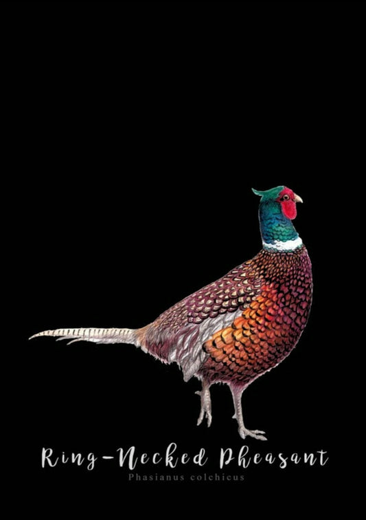Regal Pheasant Fine Art NZ Tea Towel - Black