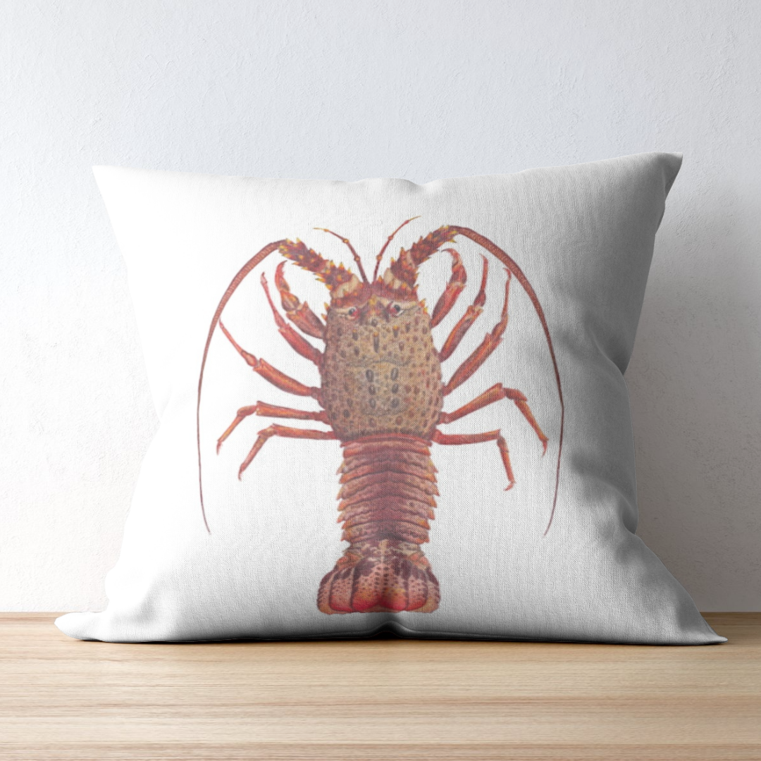 Crayfish - White- Cushion Cover