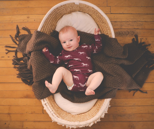 Little Horse & Hound- Vintage Horses - Long Sleeve Bodysuit - Fig