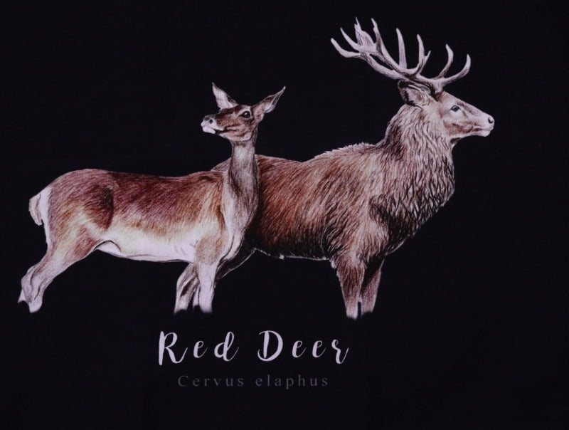 Red Deer Fine Art Print NZ Black Tea Towel