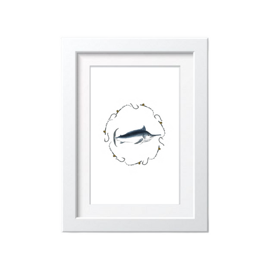 Little Marlin Print Set