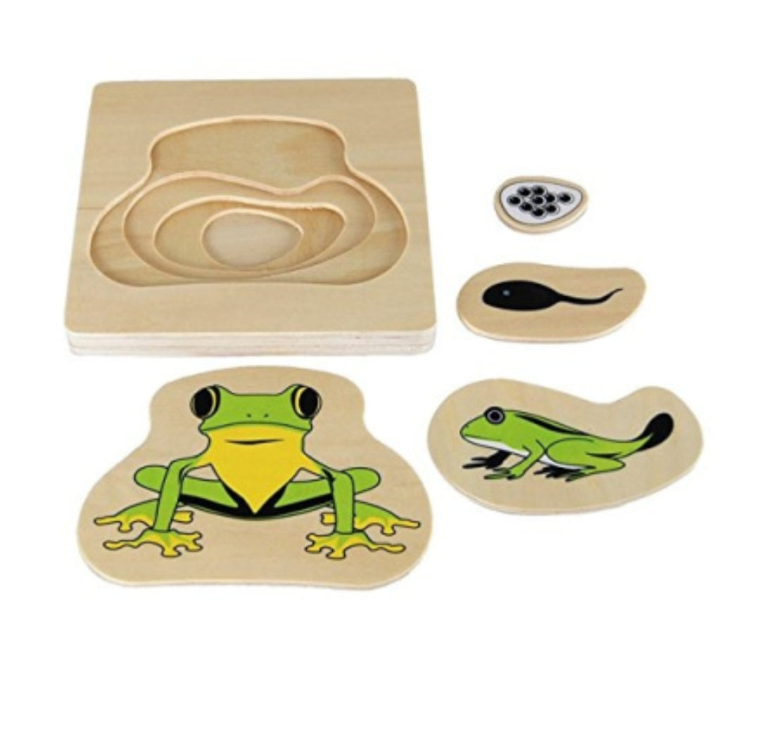 Egg to Frog Puzzle