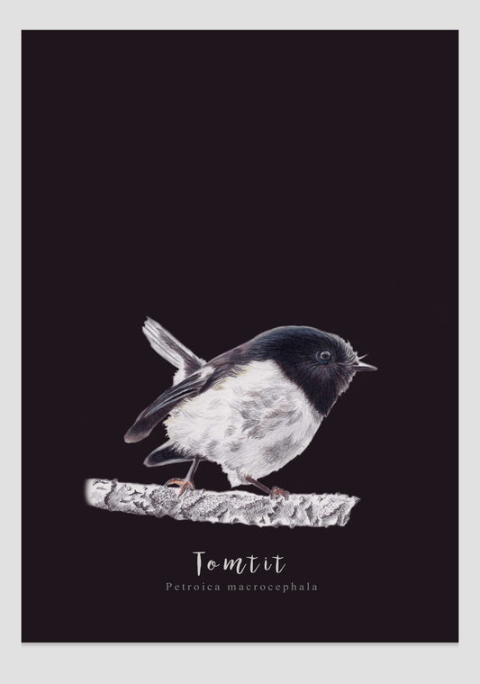 Tomtit Fine Art Print NZ Tea Towel - Black