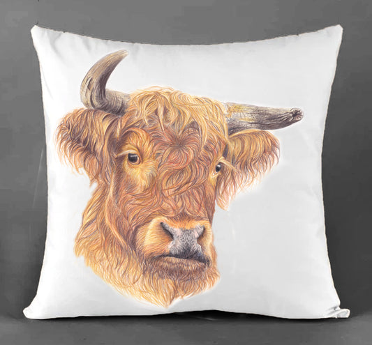 Highland Bull Canvas Cushion