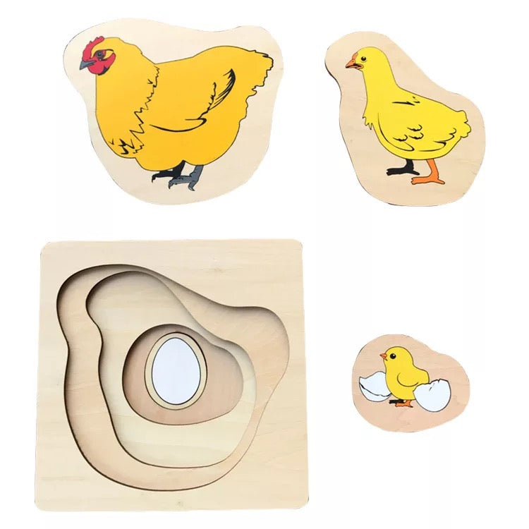 Egg to chickens puzzle