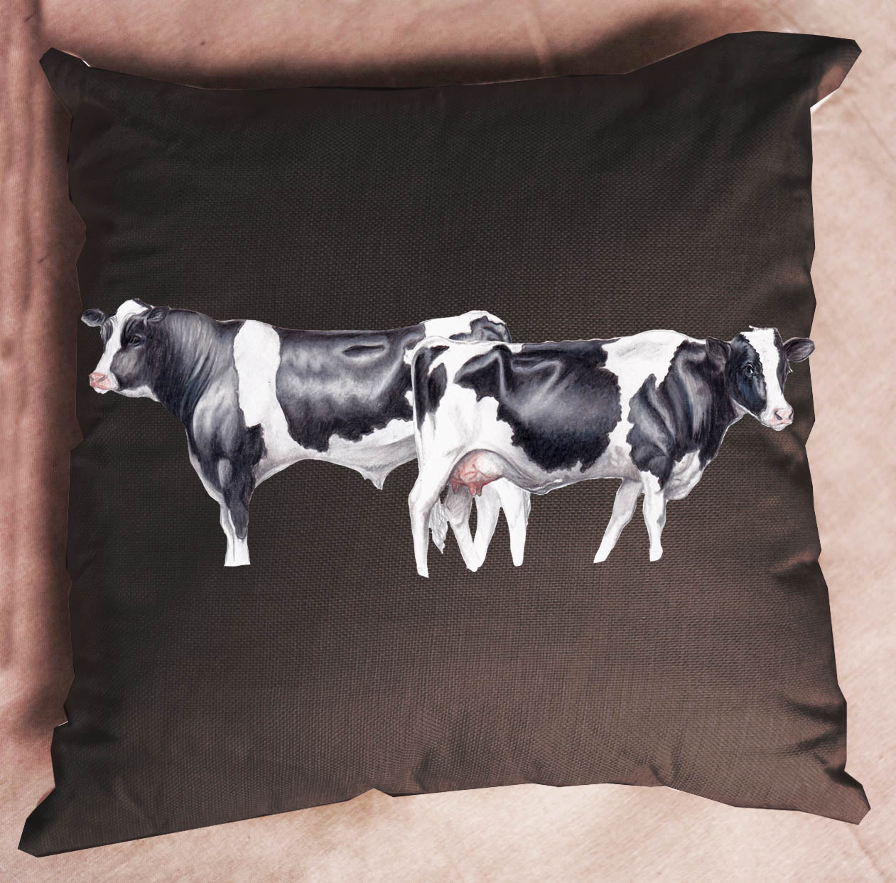 friesian,bull,cow,nz farming,cushion
