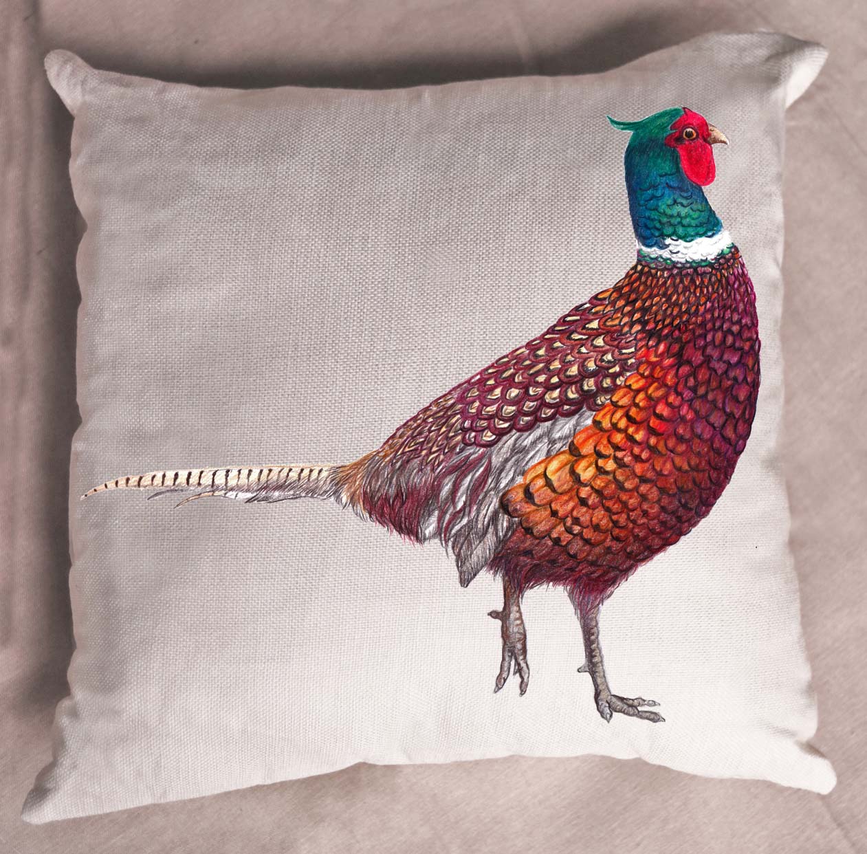 pheasant,nz game,cushion,bird game