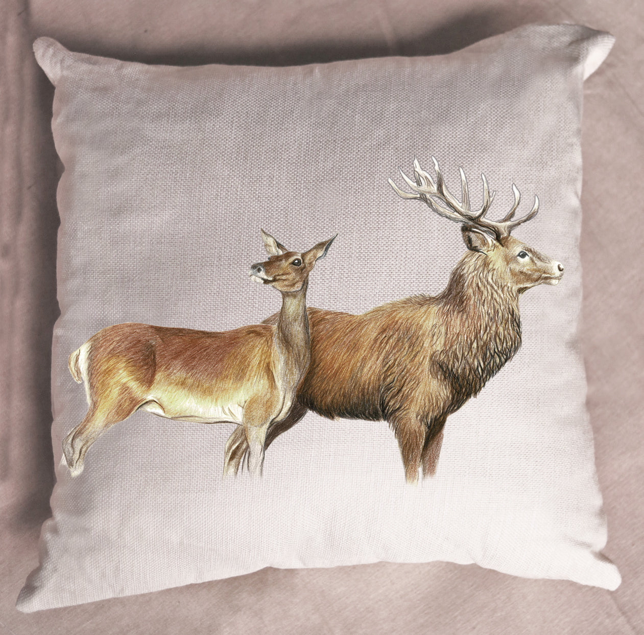 deer,red deer,stag,hunting,cushion